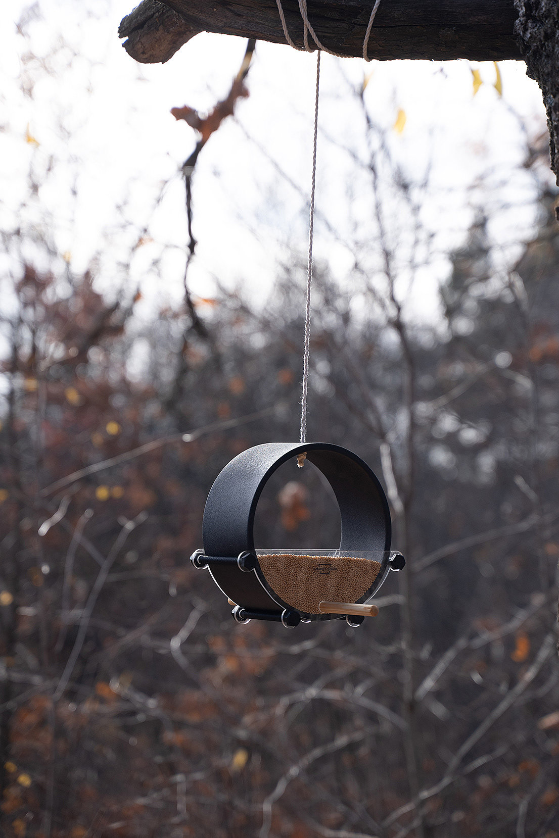 Maverick，Bird feeder，Minimalism，Landscape design，