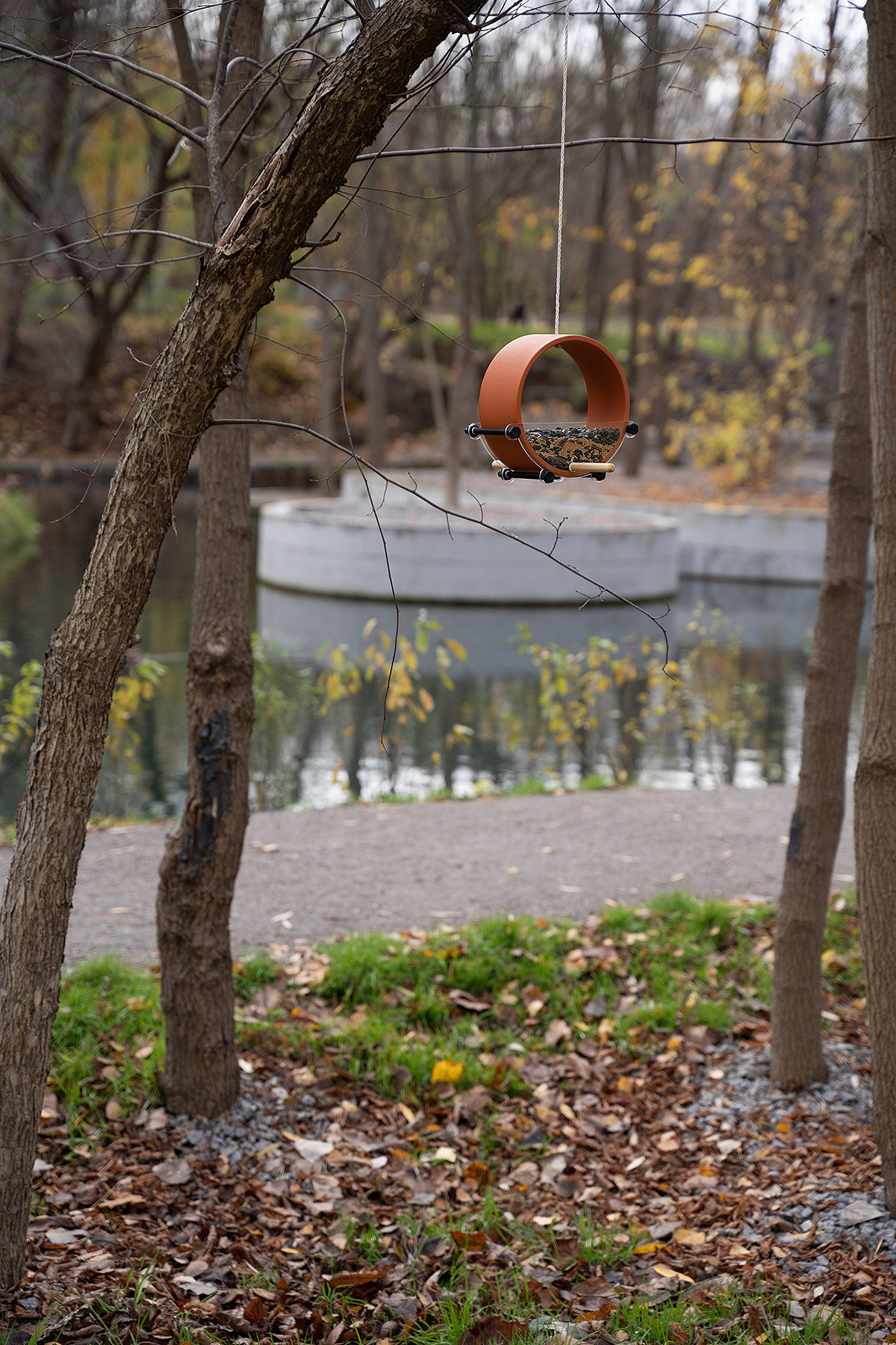 Maverick，Bird feeder，Minimalism，Landscape design，