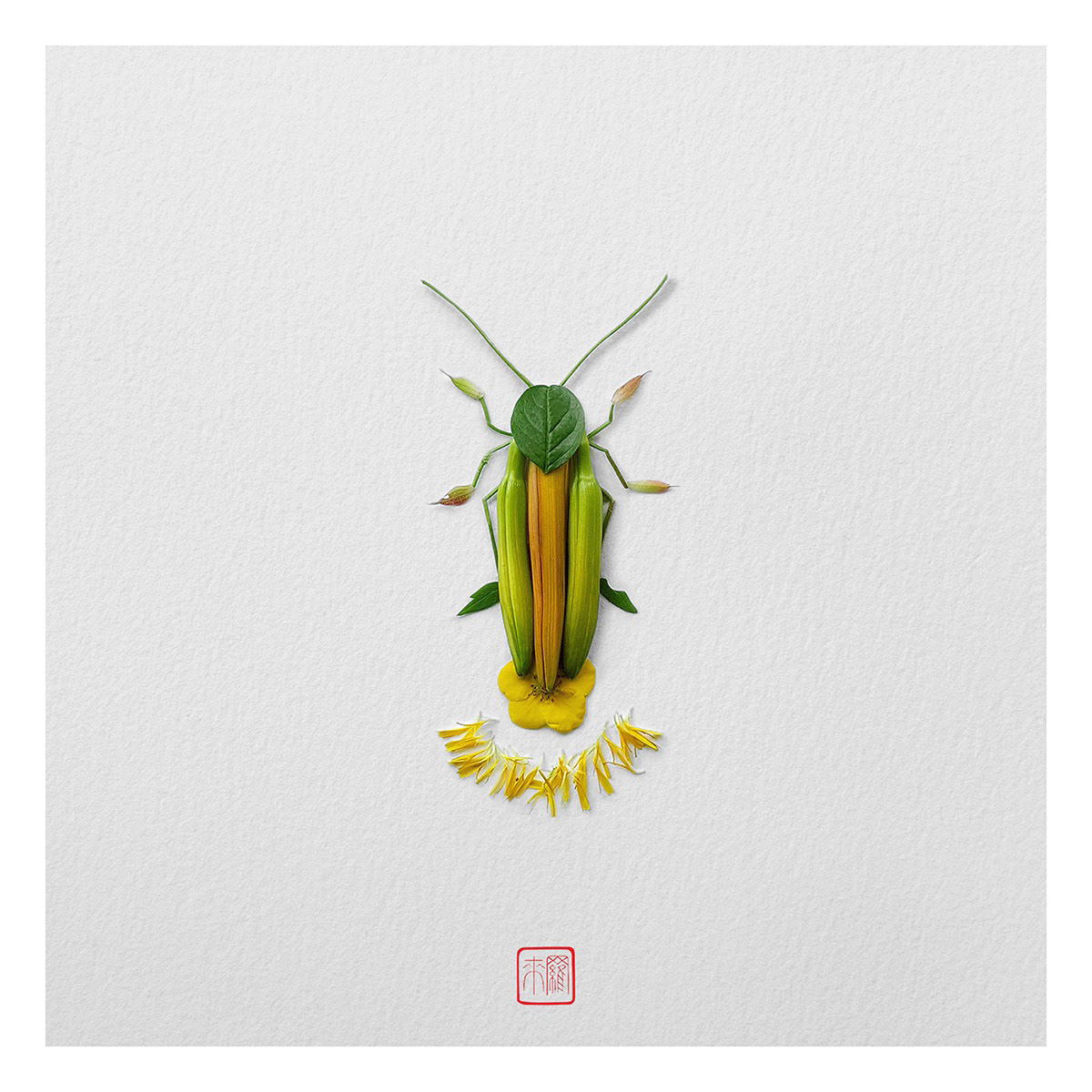 Natural flowers and plants，Collage art，Realistic insect，