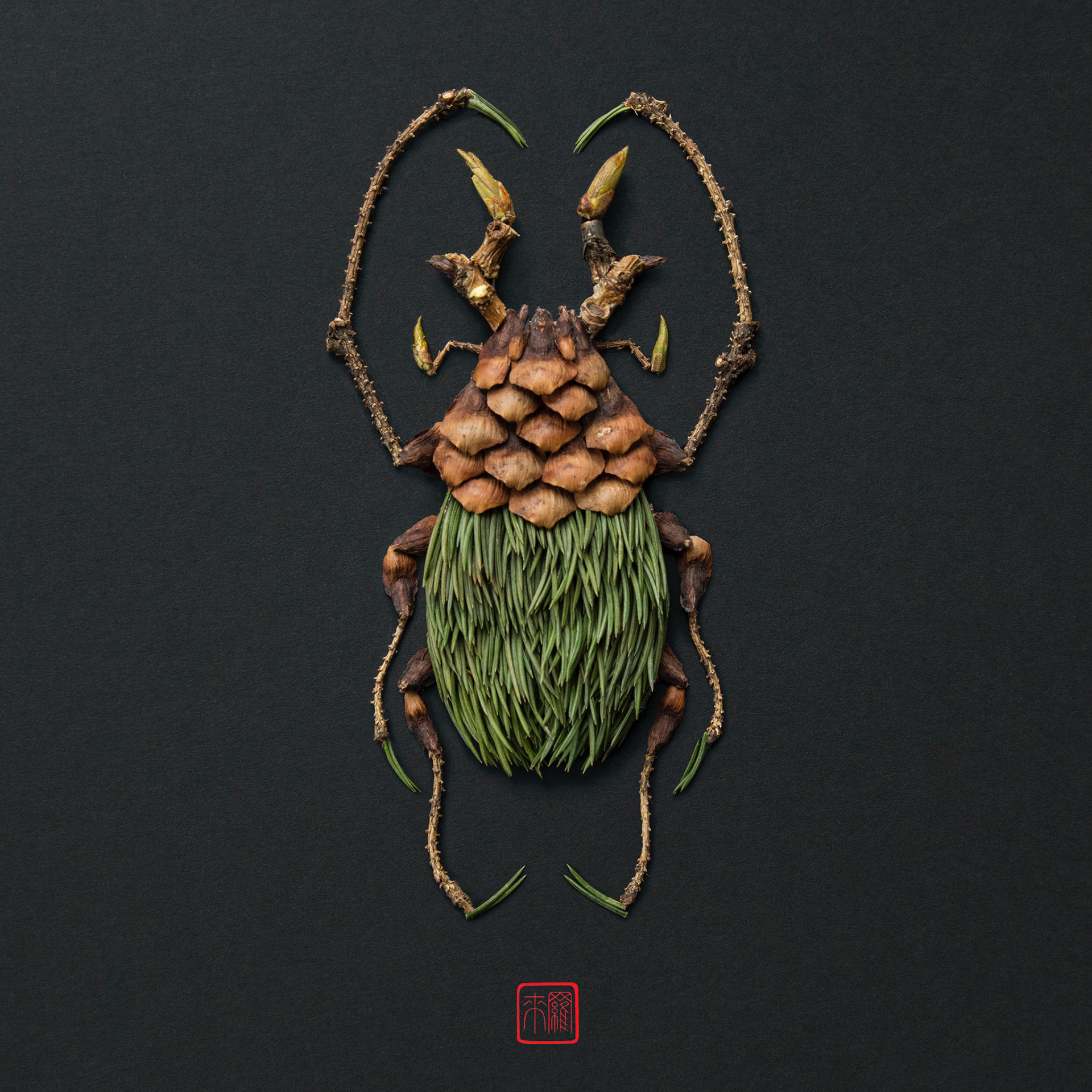 Natural flowers and plants，Collage art，Realistic insect，