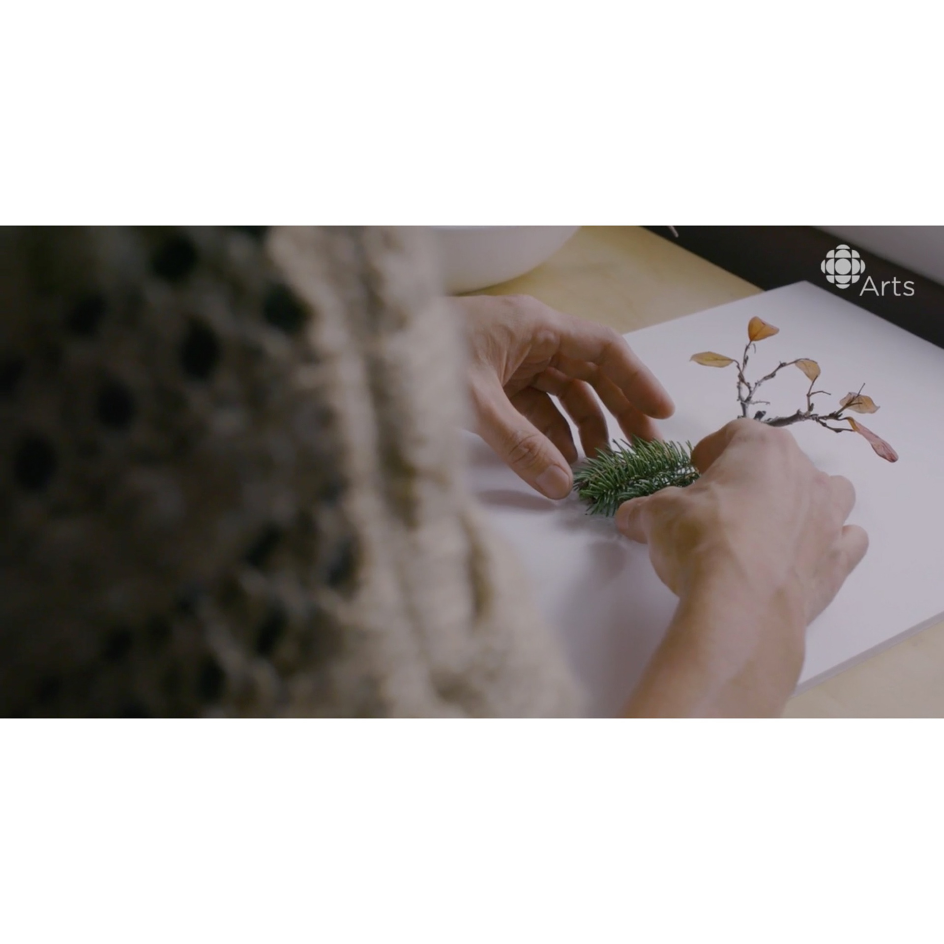 Natural flowers and plants，Collage art，Realistic insect，