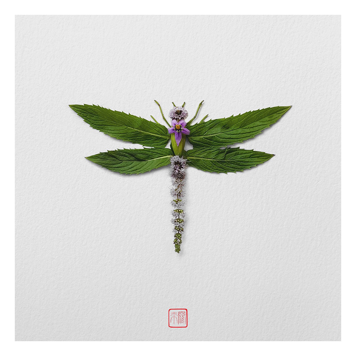 Natural flowers and plants，Collage art，Realistic insect，