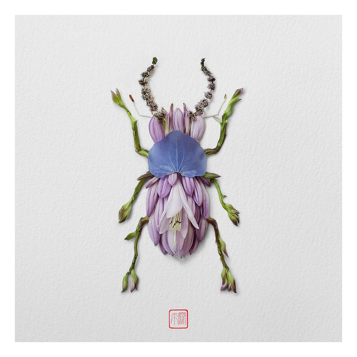 Natural flowers and plants，Collage art，Realistic insect，