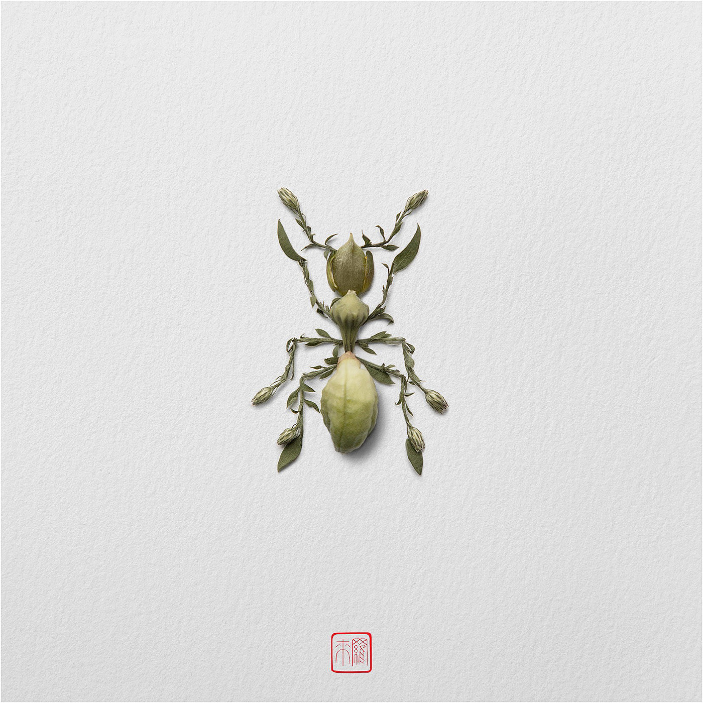 Natural flowers and plants，Collage art，Realistic insect，