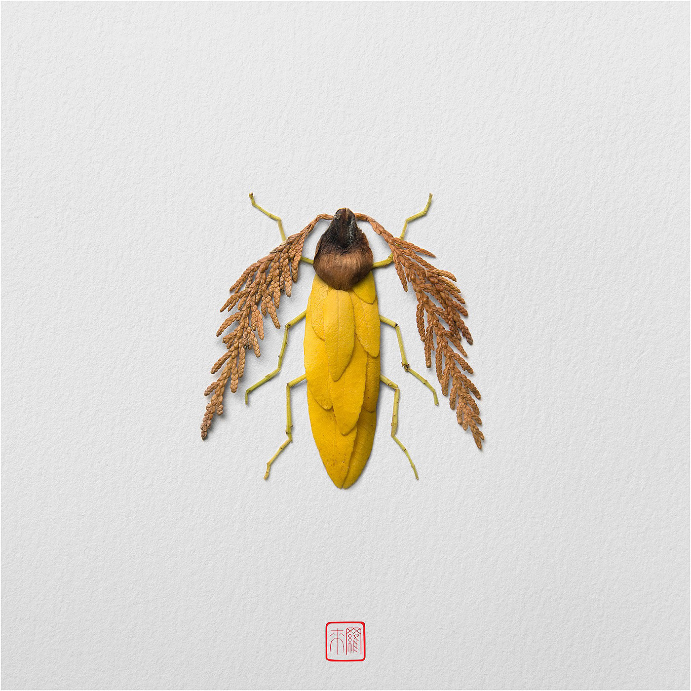 Natural flowers and plants，Collage art，Realistic insect，