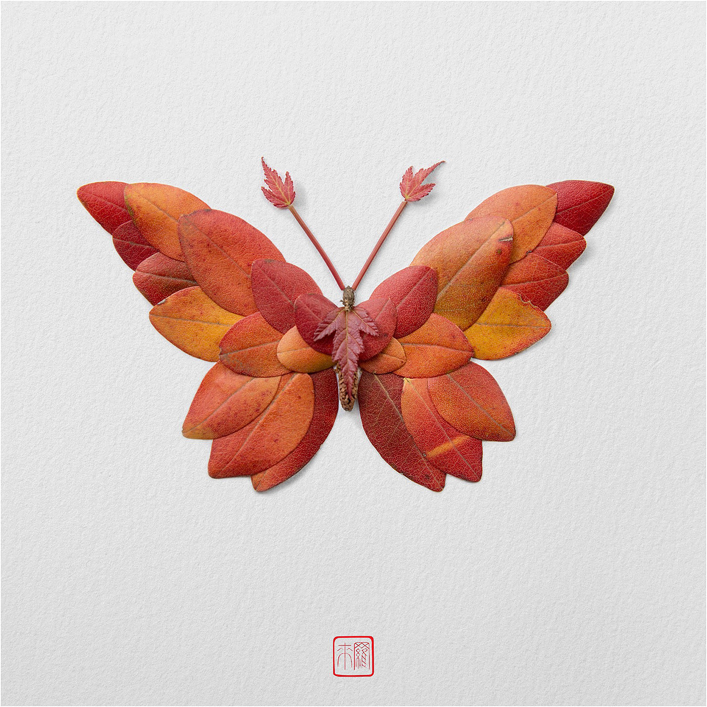 Natural flowers and plants，Collage art，Realistic insect，