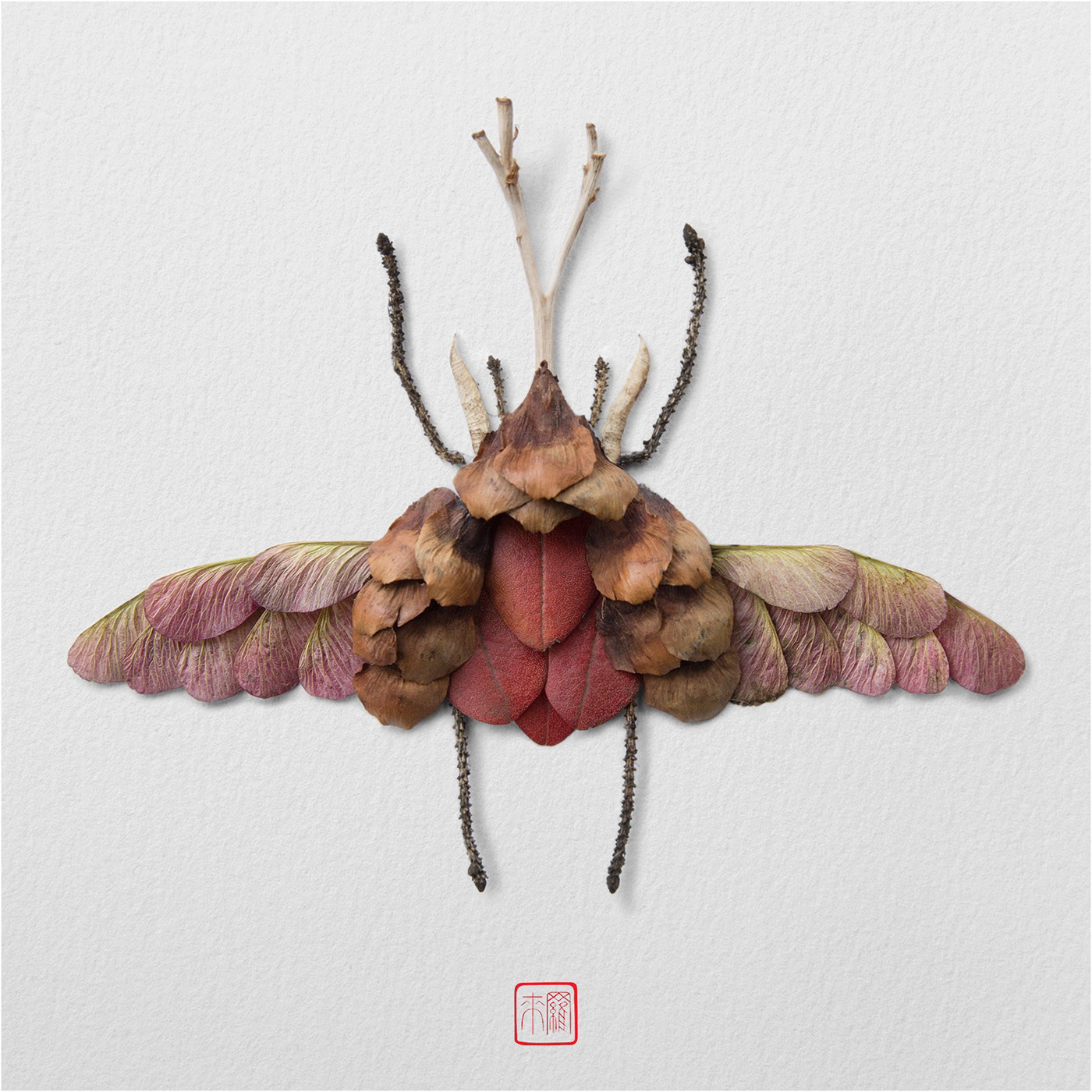 Natural flowers and plants，Collage art，Realistic insect，