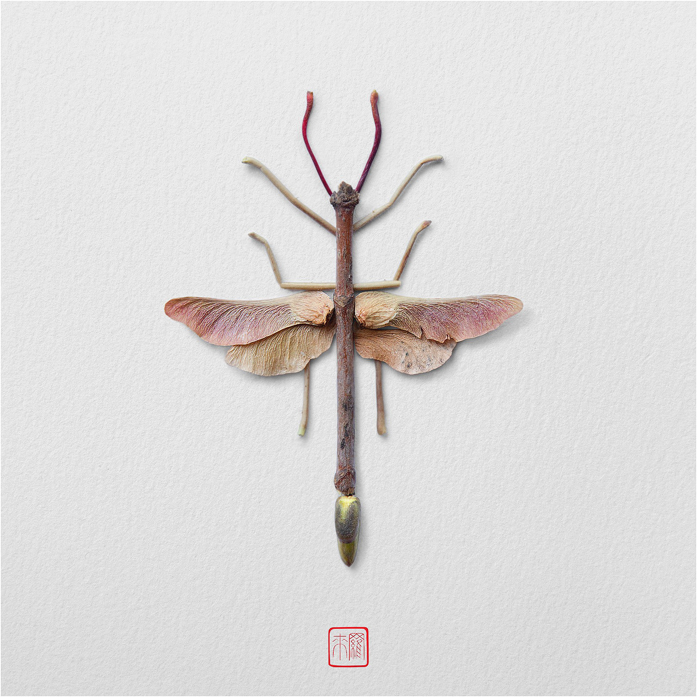 Natural flowers and plants，Collage art，Realistic insect，