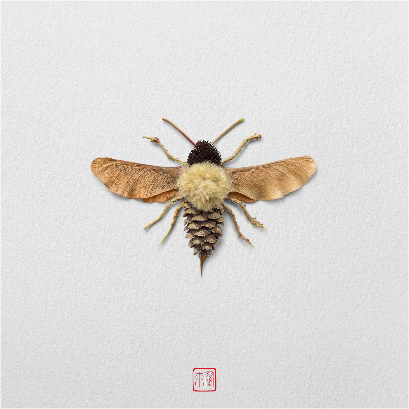 Natural flowers and plants，Collage art，Realistic insect，