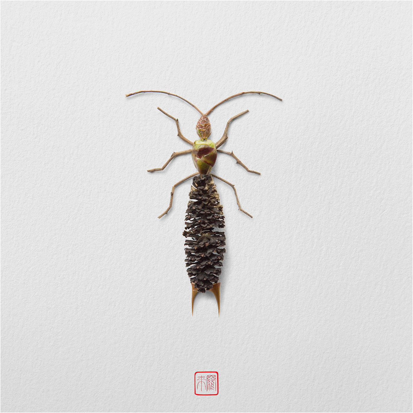 Natural flowers and plants，Collage art，Realistic insect，