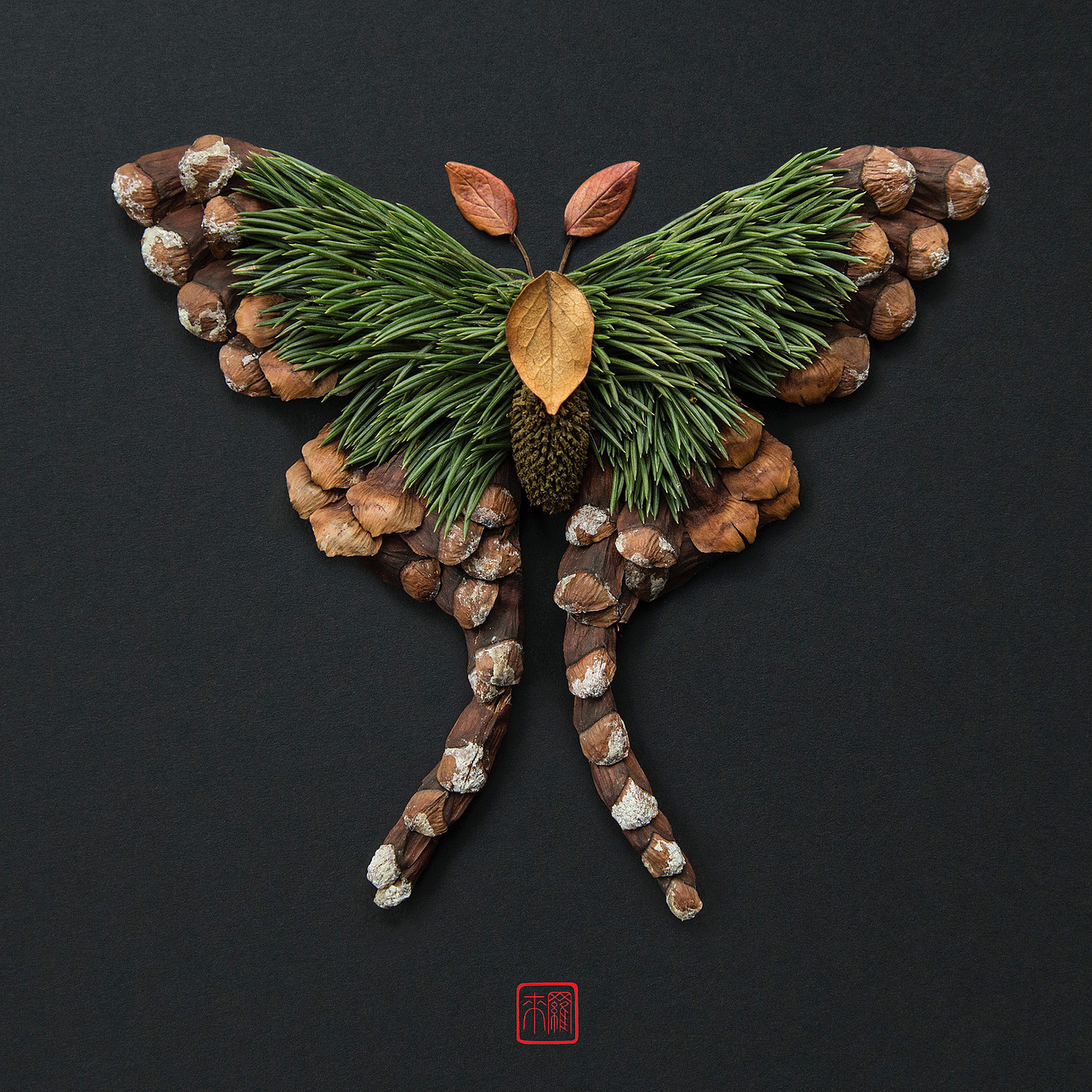 Natural flowers and plants，Collage art，Realistic insect，