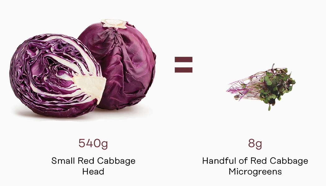 Exquisite, small, green and simple，