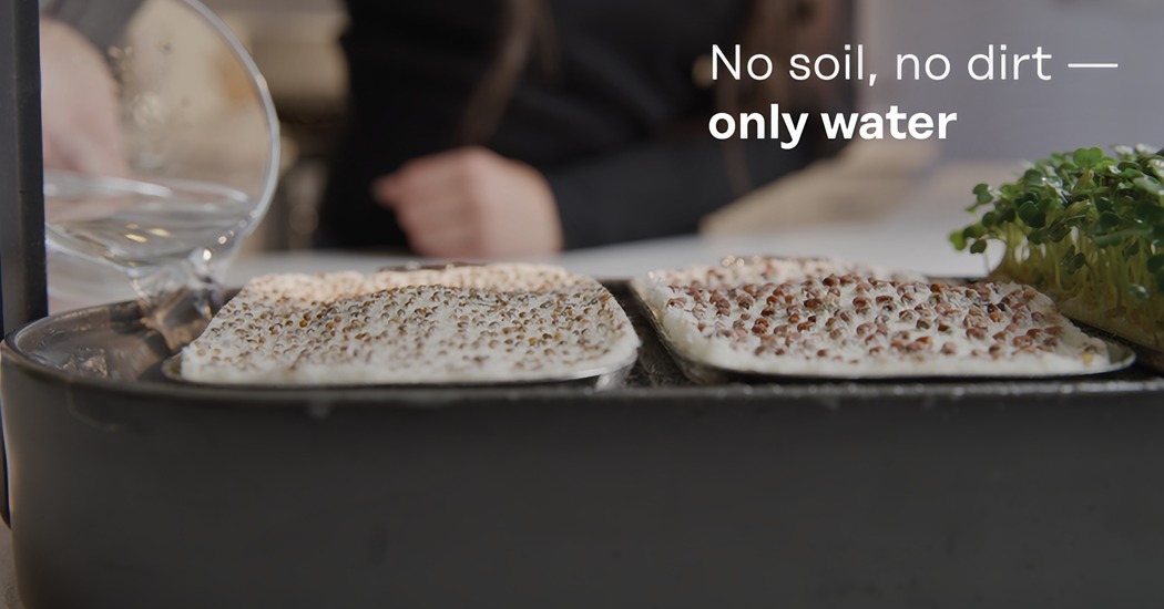 Exquisite, small, green and simple，