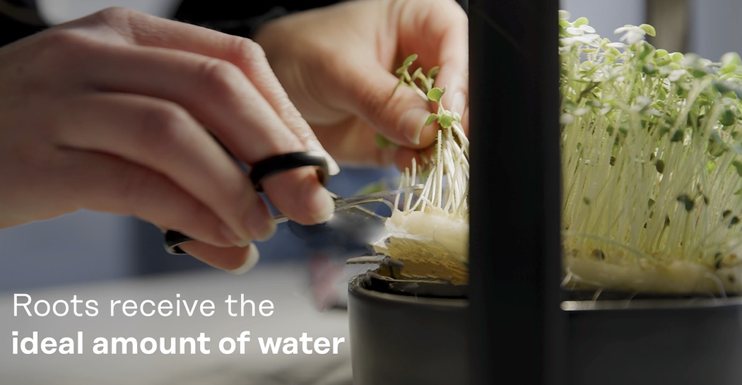 Exquisite, small, green and simple，