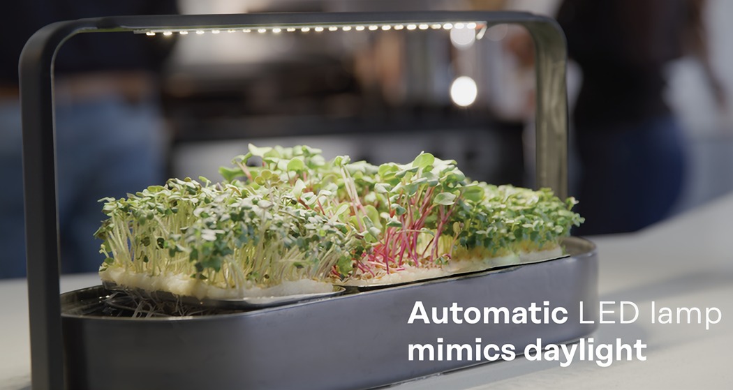 Exquisite, small, green and simple，