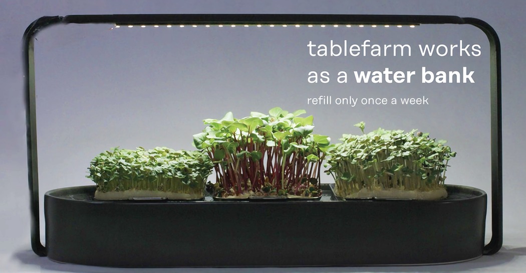 Exquisite, small, green and simple，