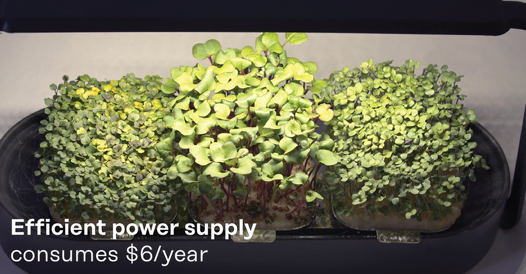 Exquisite, small, green and simple，