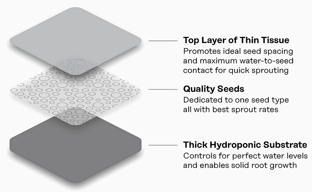 Exquisite, small, green and simple，