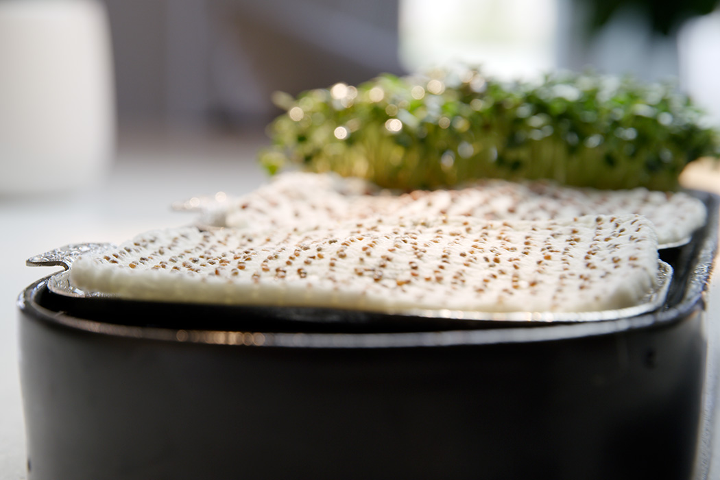 Exquisite, small, green and simple，