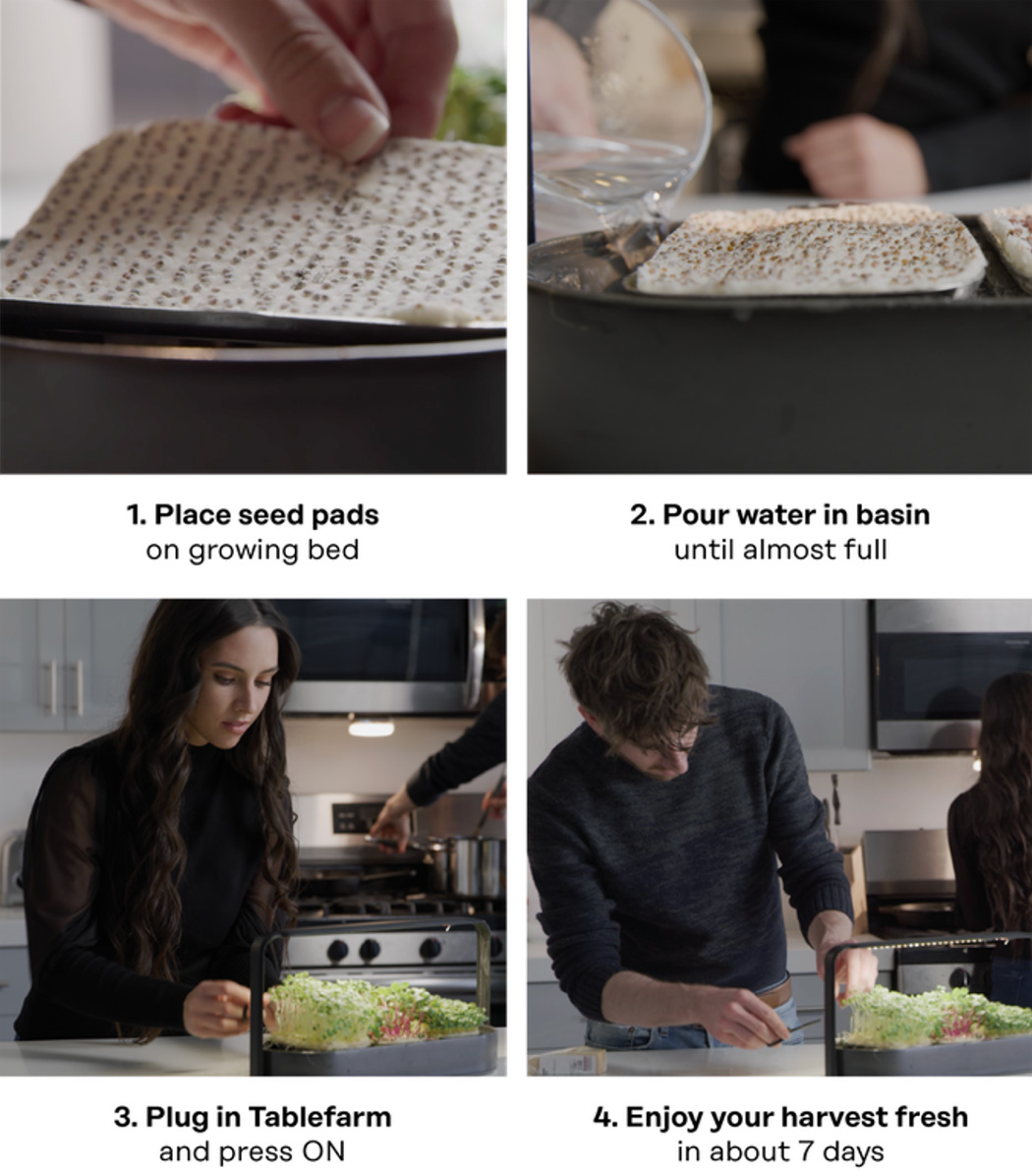 Exquisite, small, green and simple，