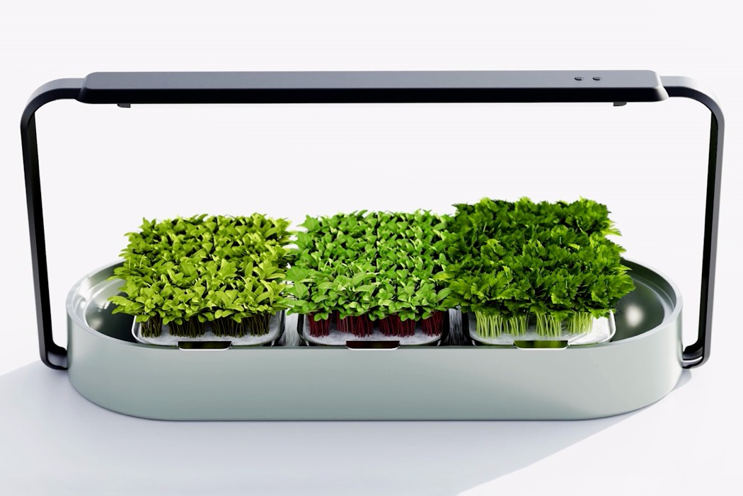 Exquisite, small, green and simple，