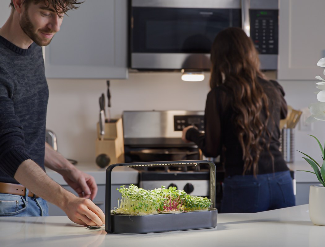 Exquisite, small, green and simple，