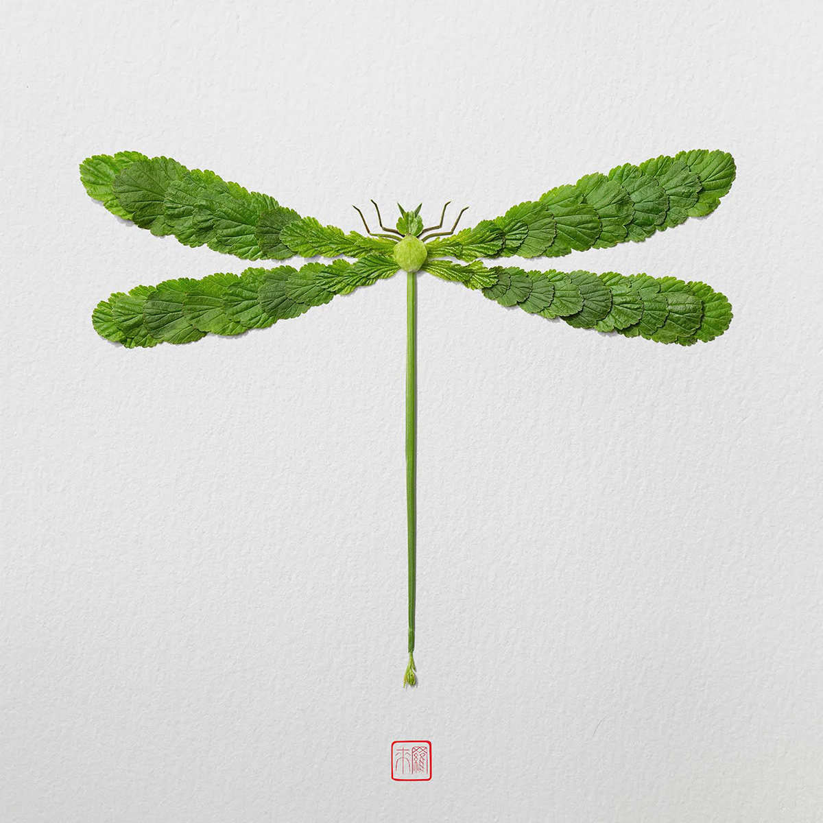 Natural flowers and plants，Collage art，Realistic insect，