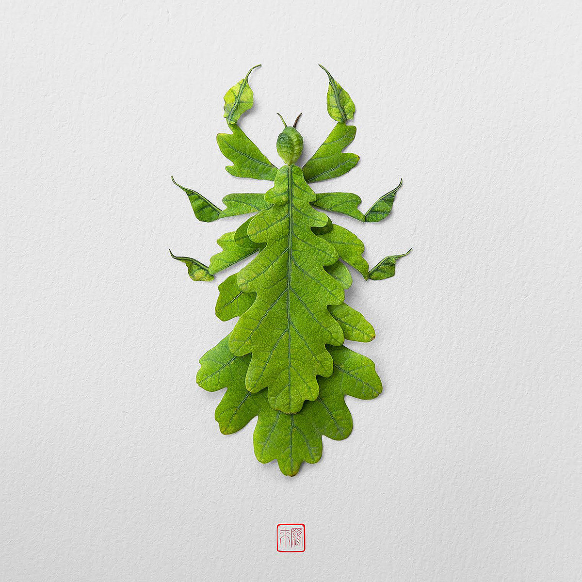Natural flowers and plants，Collage art，Realistic insect，