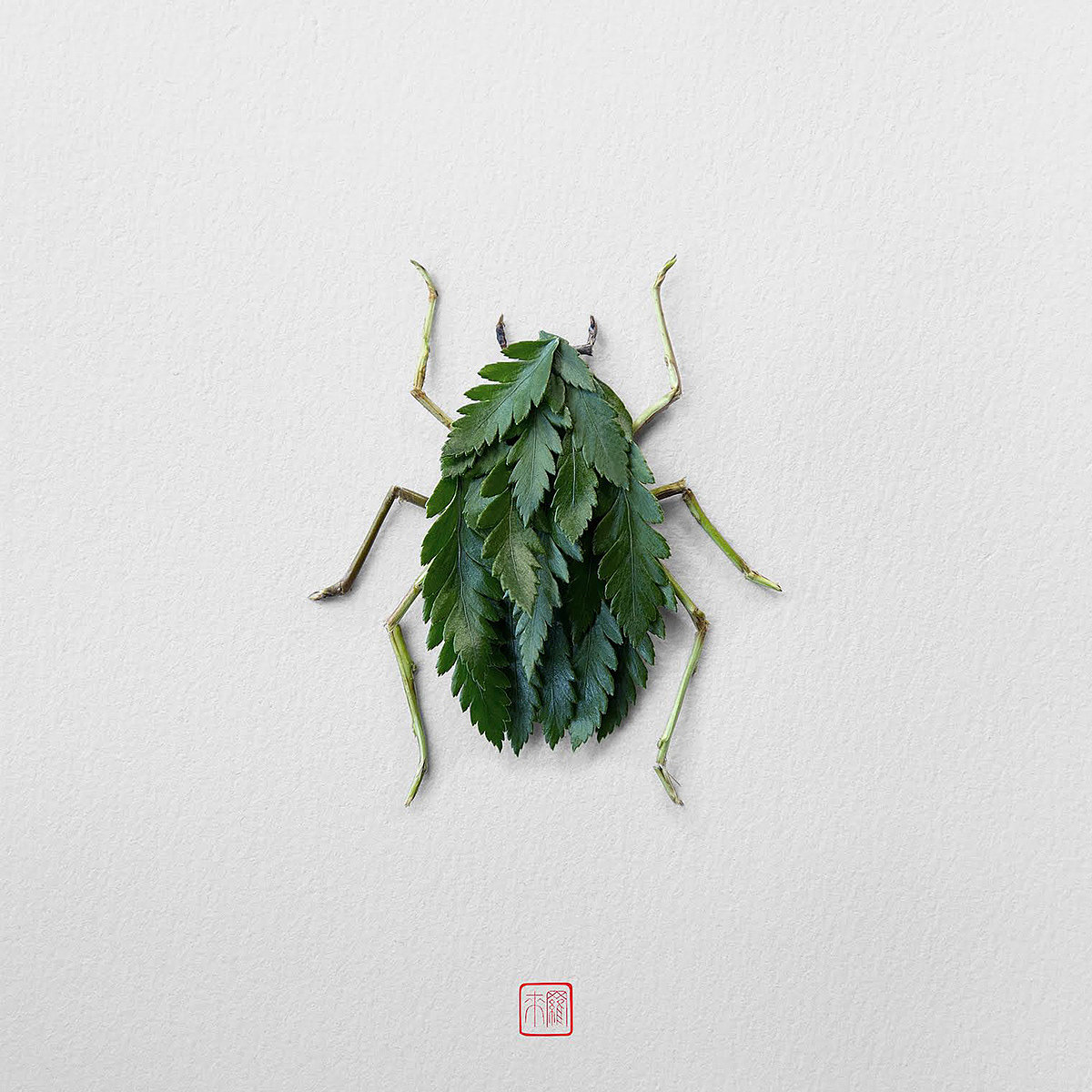 Natural flowers and plants，Collage art，Realistic insect，