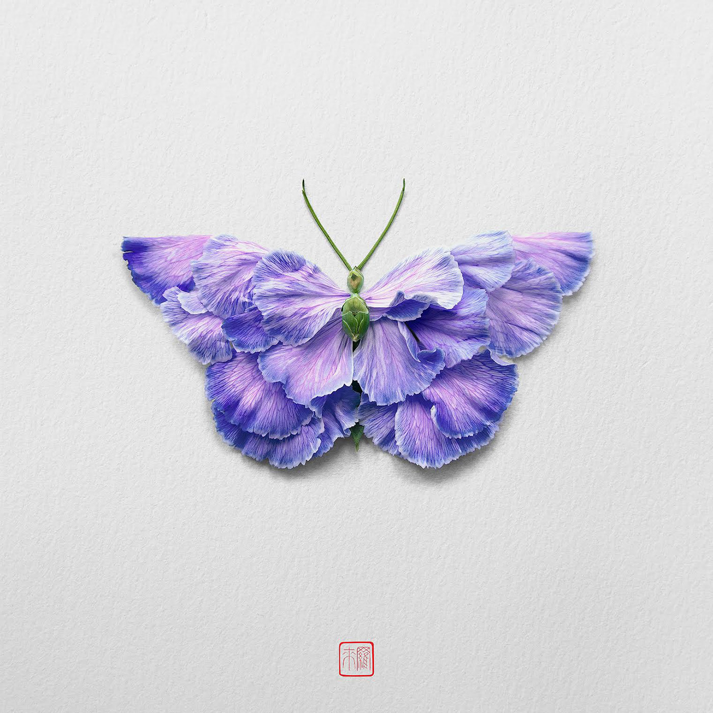 Natural flowers and plants，Collage art，Realistic insect，