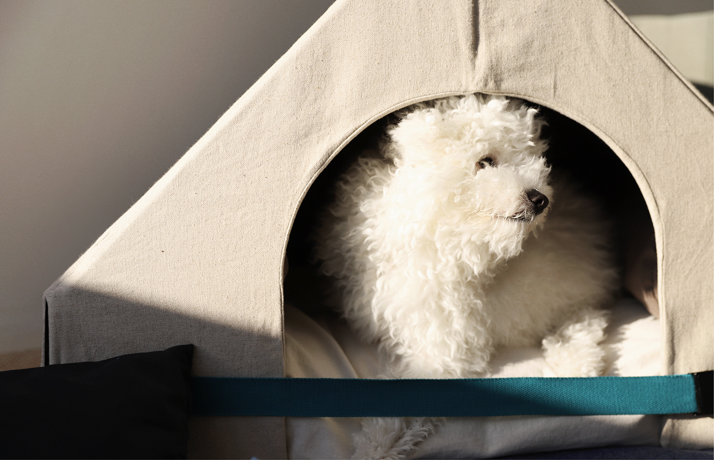 MUF，kennel，Pet Supplies & Pet，originality，