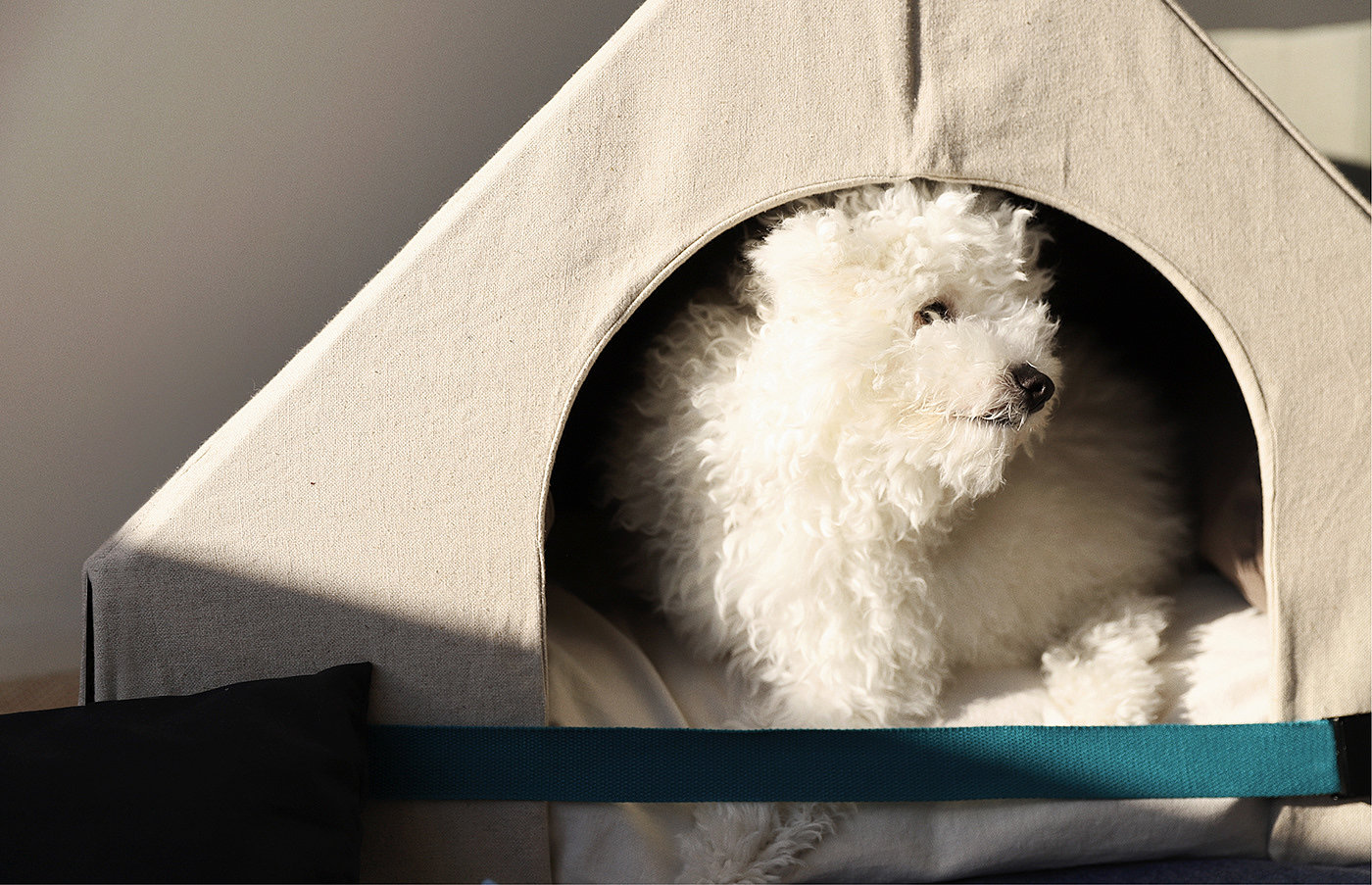 MUF，kennel，Pet Supplies & Pet，originality，