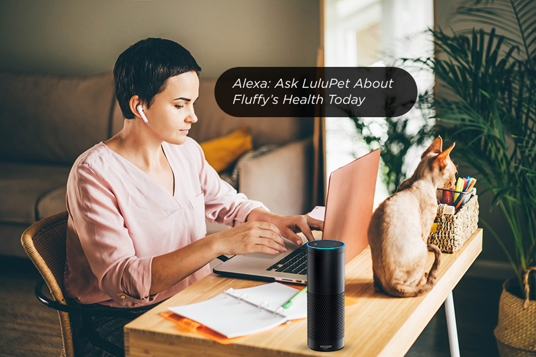 Magnifier，Litter box，intelligence，Pet Supplies & Pet，