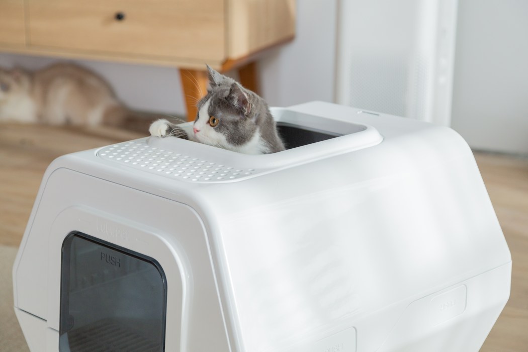 Magnifier，Litter box，intelligence，Pet Supplies & Pet，