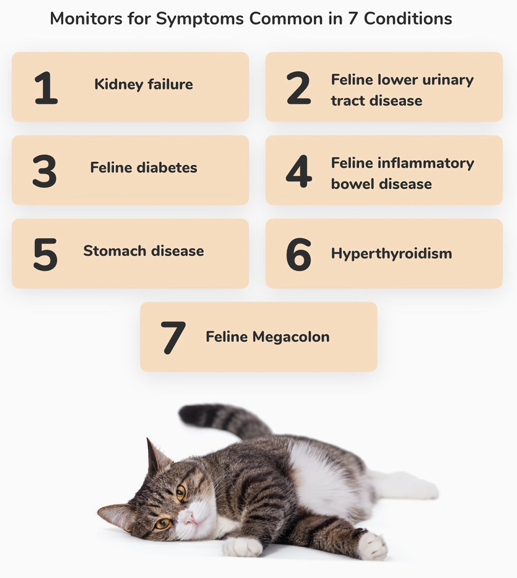 Magnifier，Litter box，intelligence，Pet Supplies & Pet，