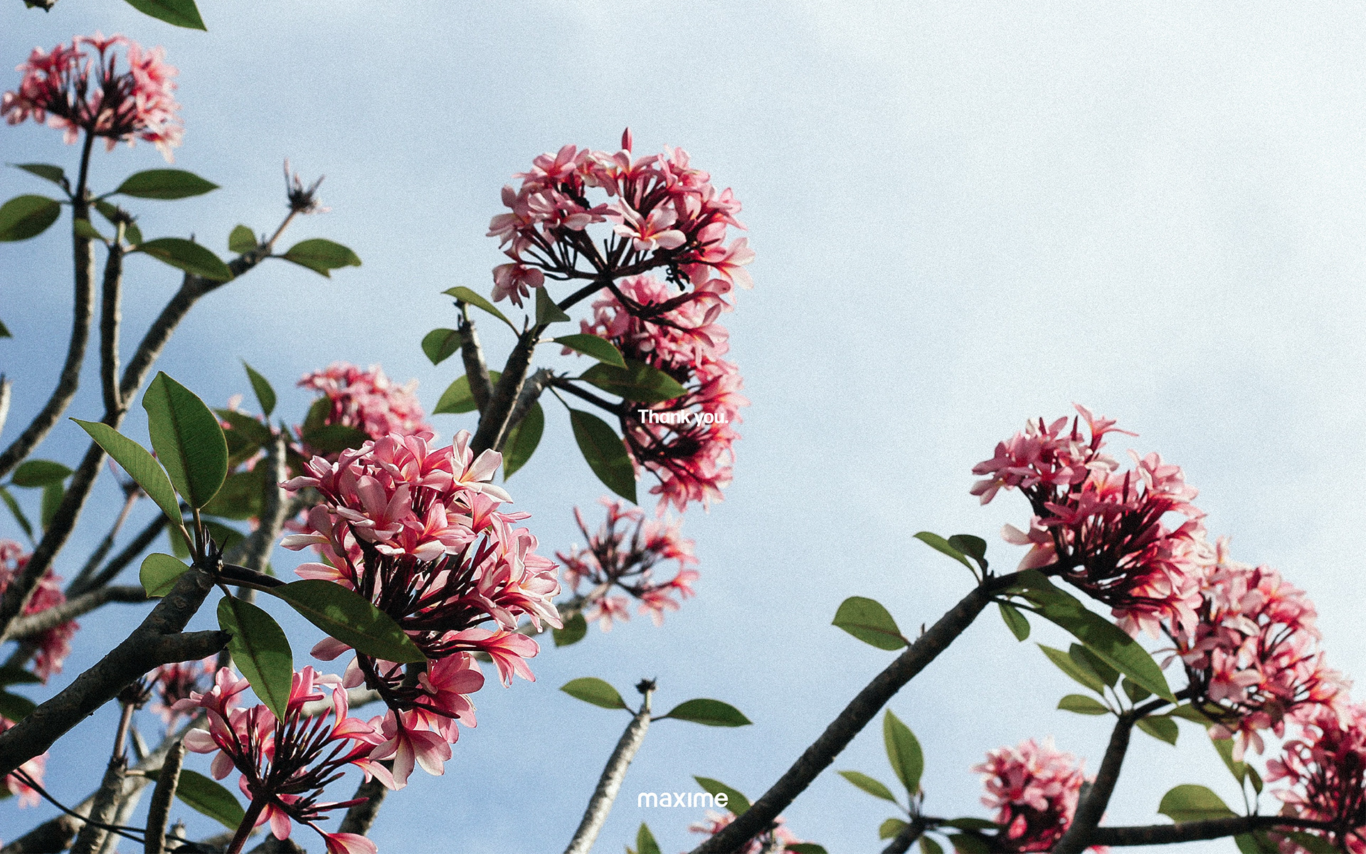 Order record，Odour recorder，Bota，