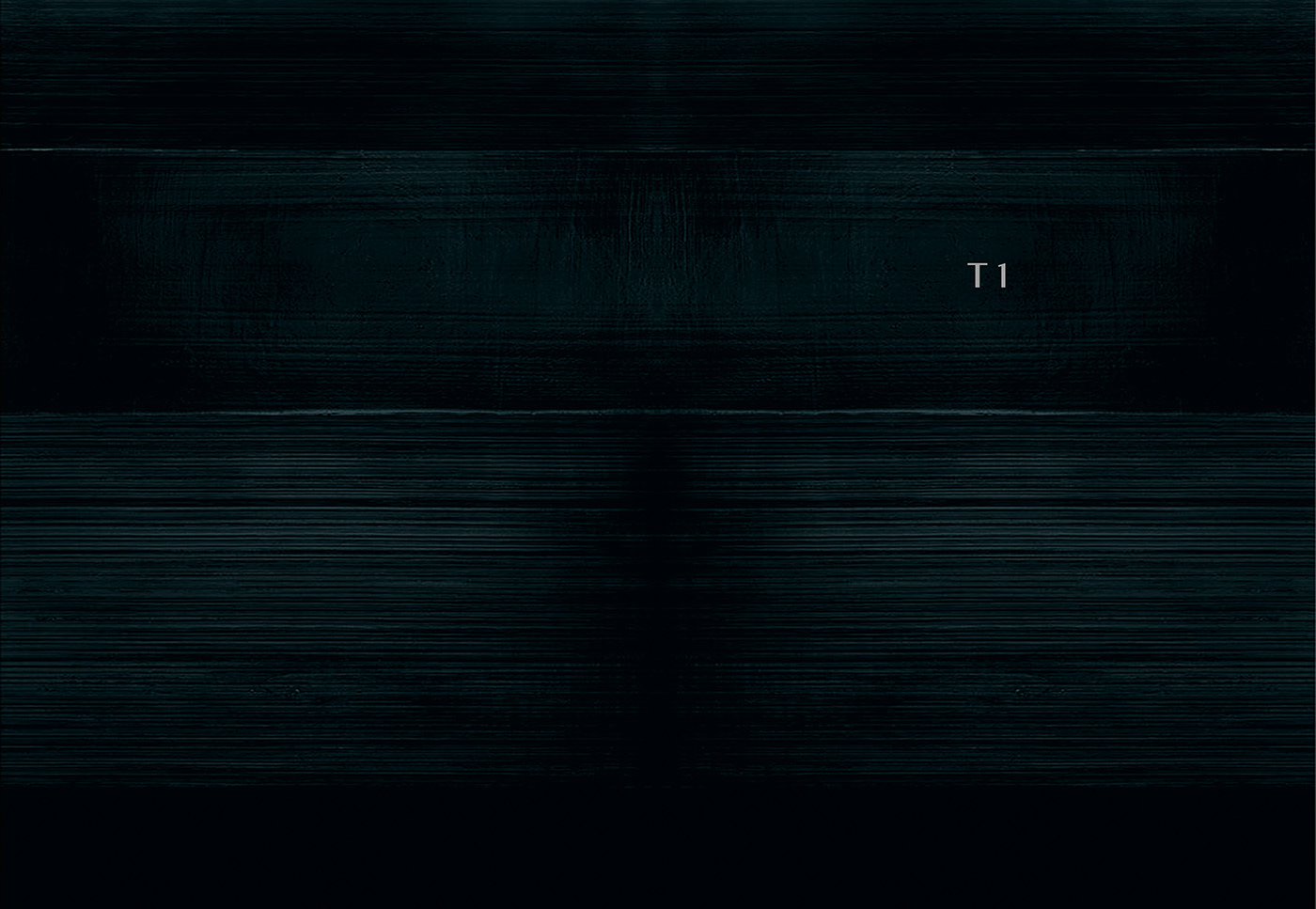 TESLA T1，challenge round，Personal sketch，