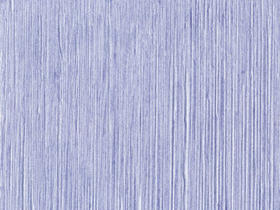 desktop，Storage，arrangement，Stationery，