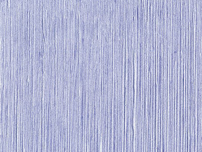 desktop，Storage，arrangement，Stationery，