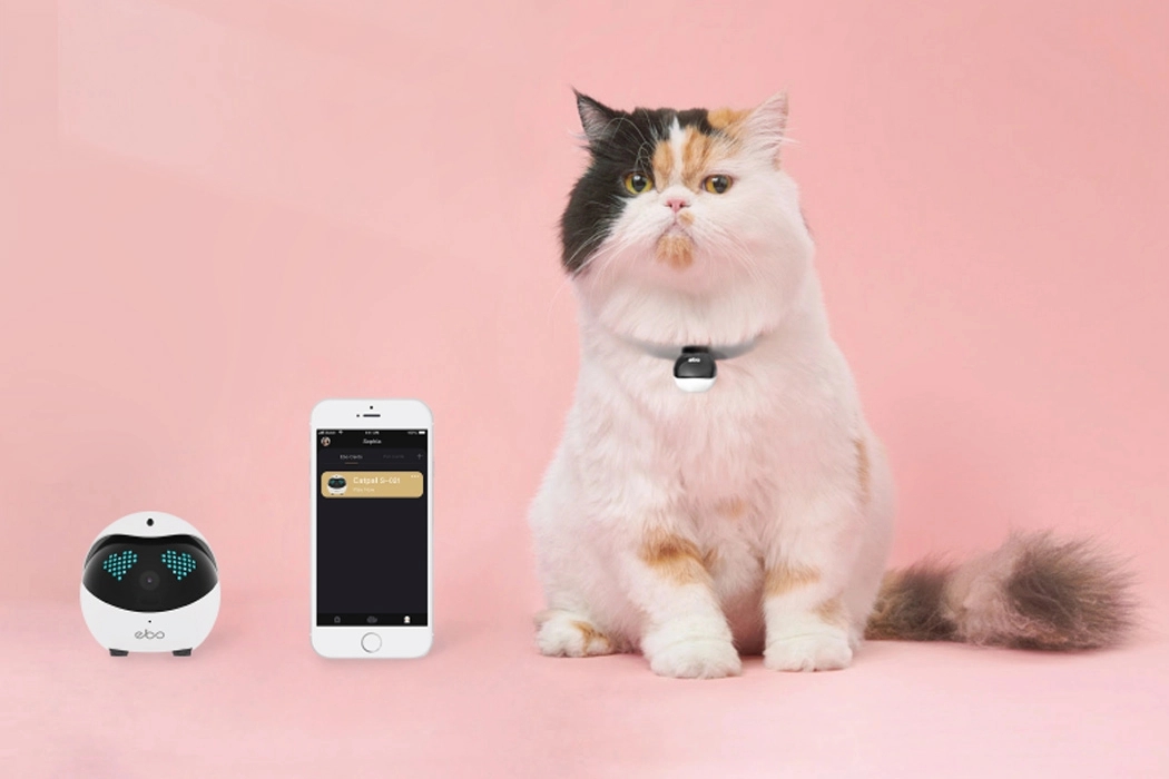 robot，video camera，monitor，Toys，Pets，