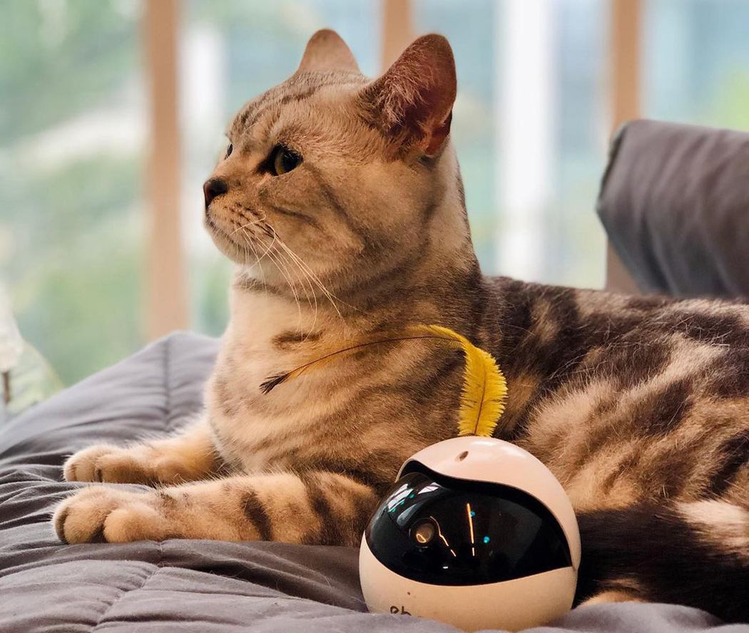 robot，video camera，monitor，Toys，Pets，