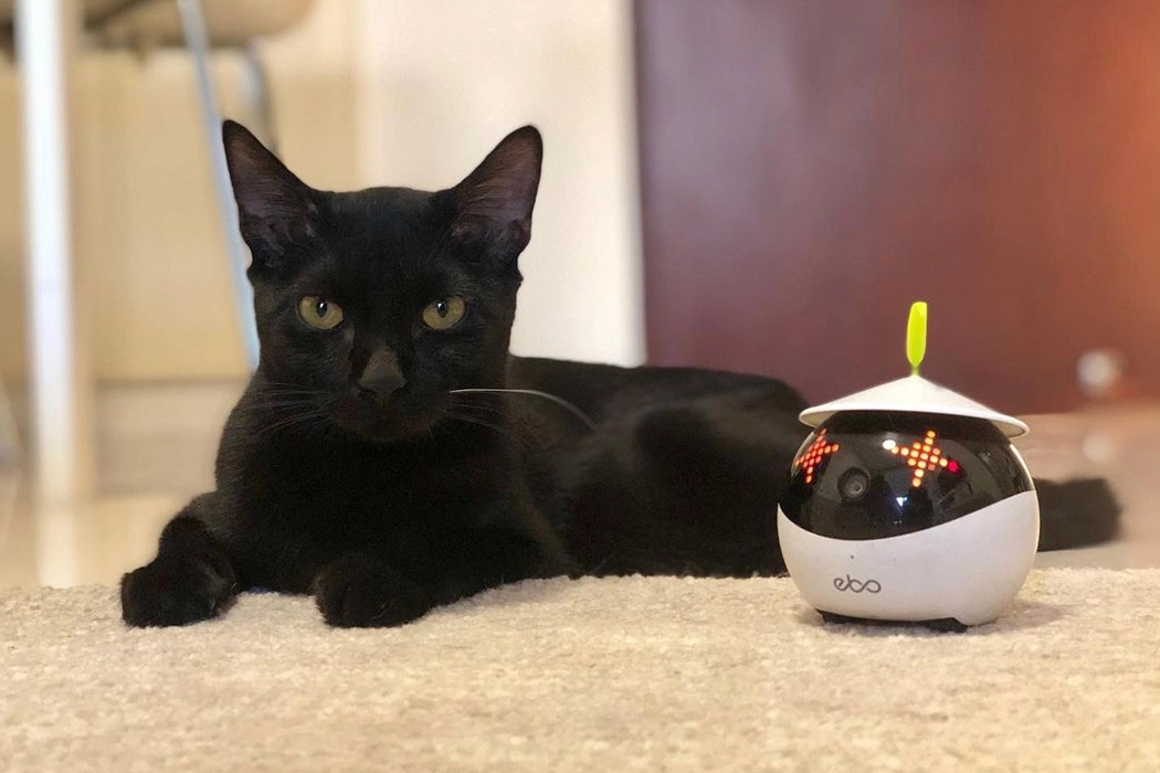 robot，video camera，monitor，Toys，Pets，