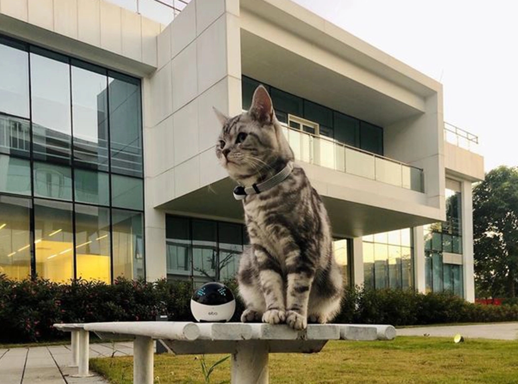 robot，video camera，monitor，Toys，Pets，