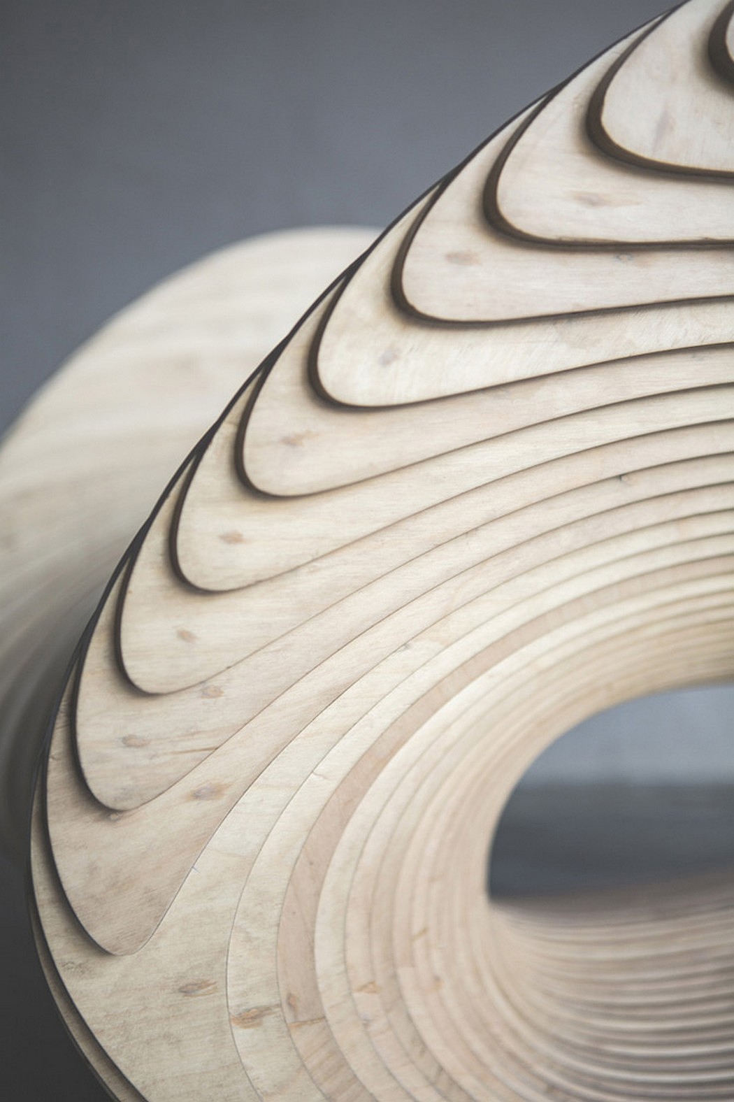 birch，chair，furniture，association，especially，Type curve，gorgeous，