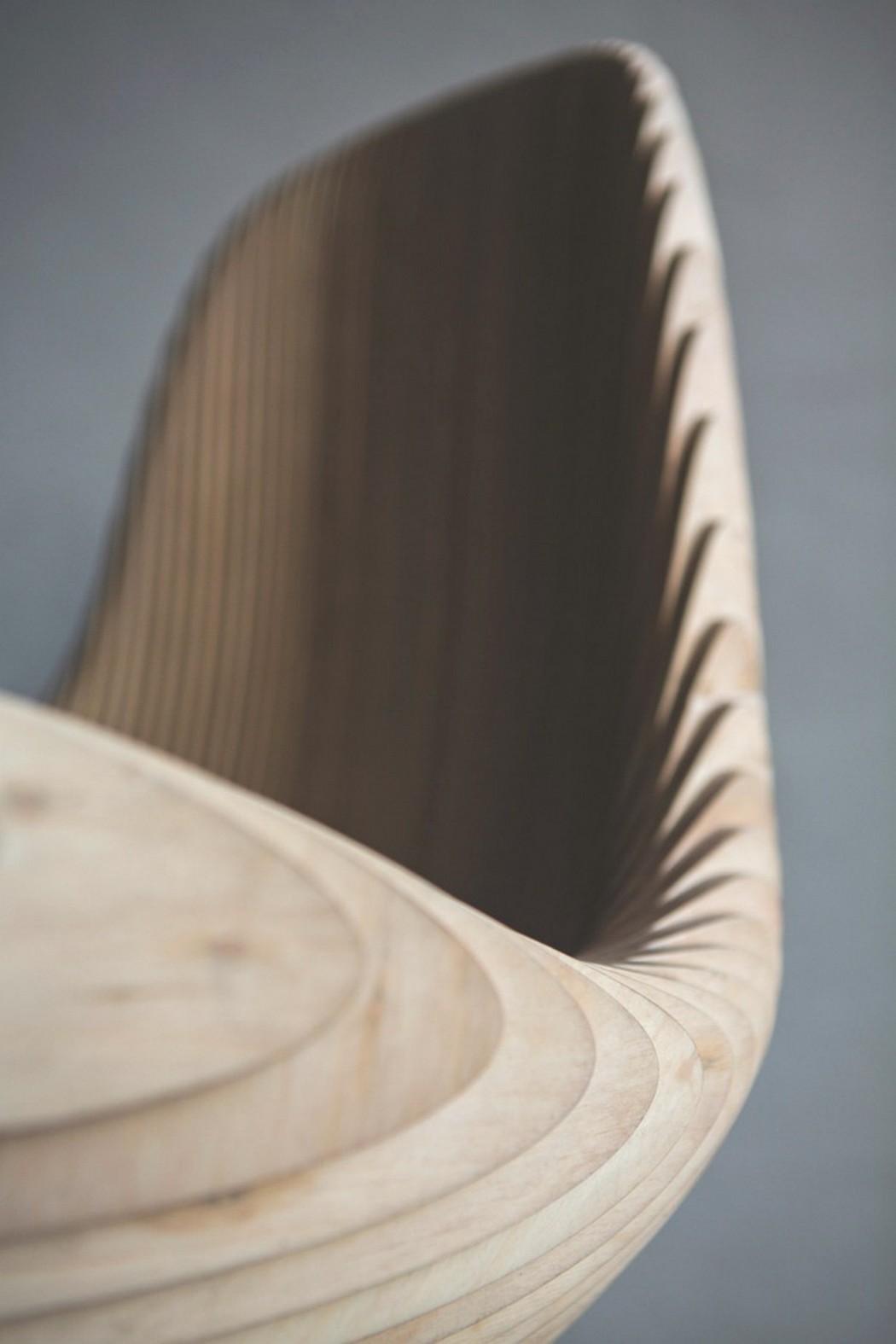 birch，chair，furniture，association，especially，Type curve，gorgeous，
