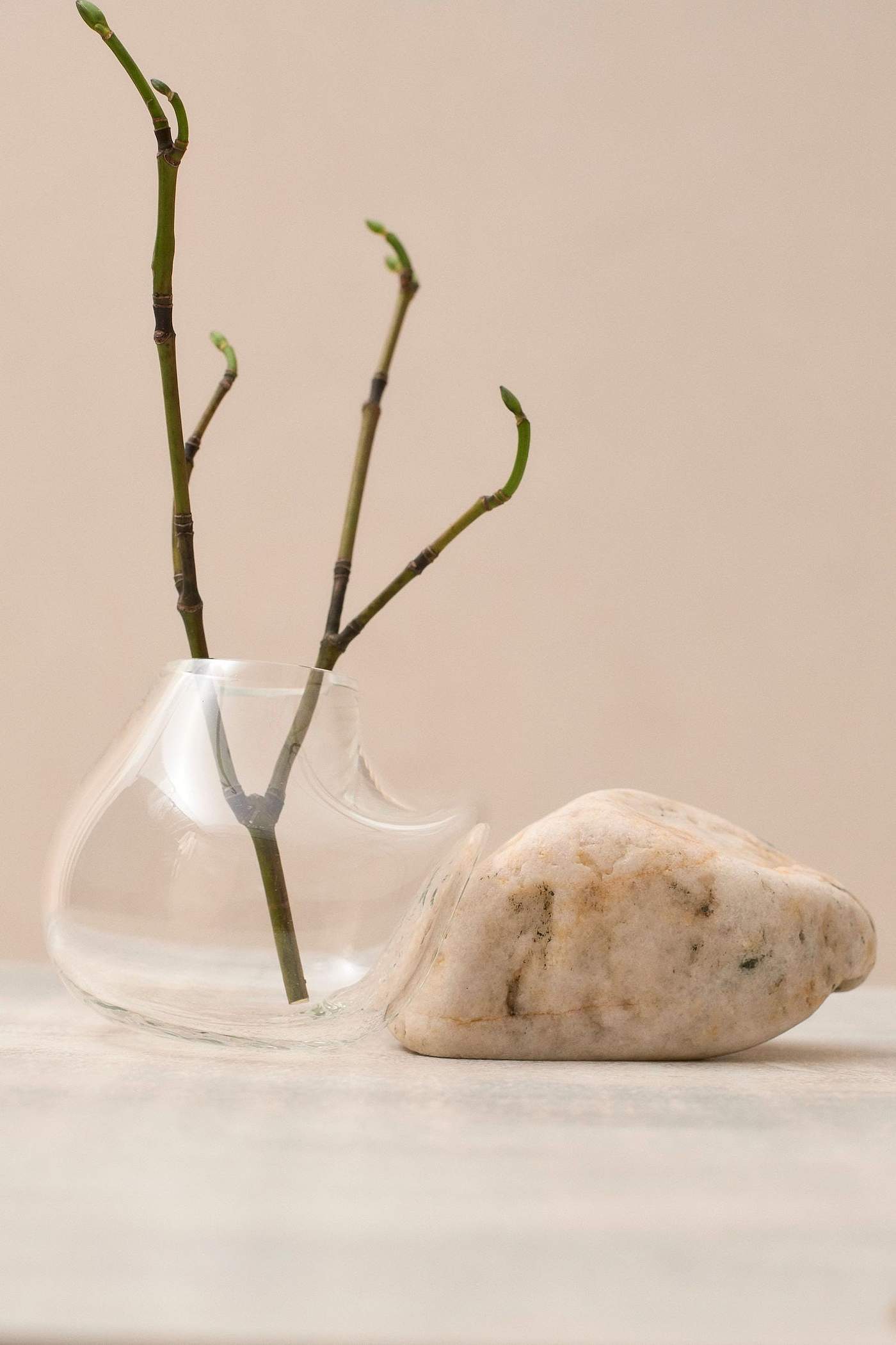 vase，Glass，autumn，Art，