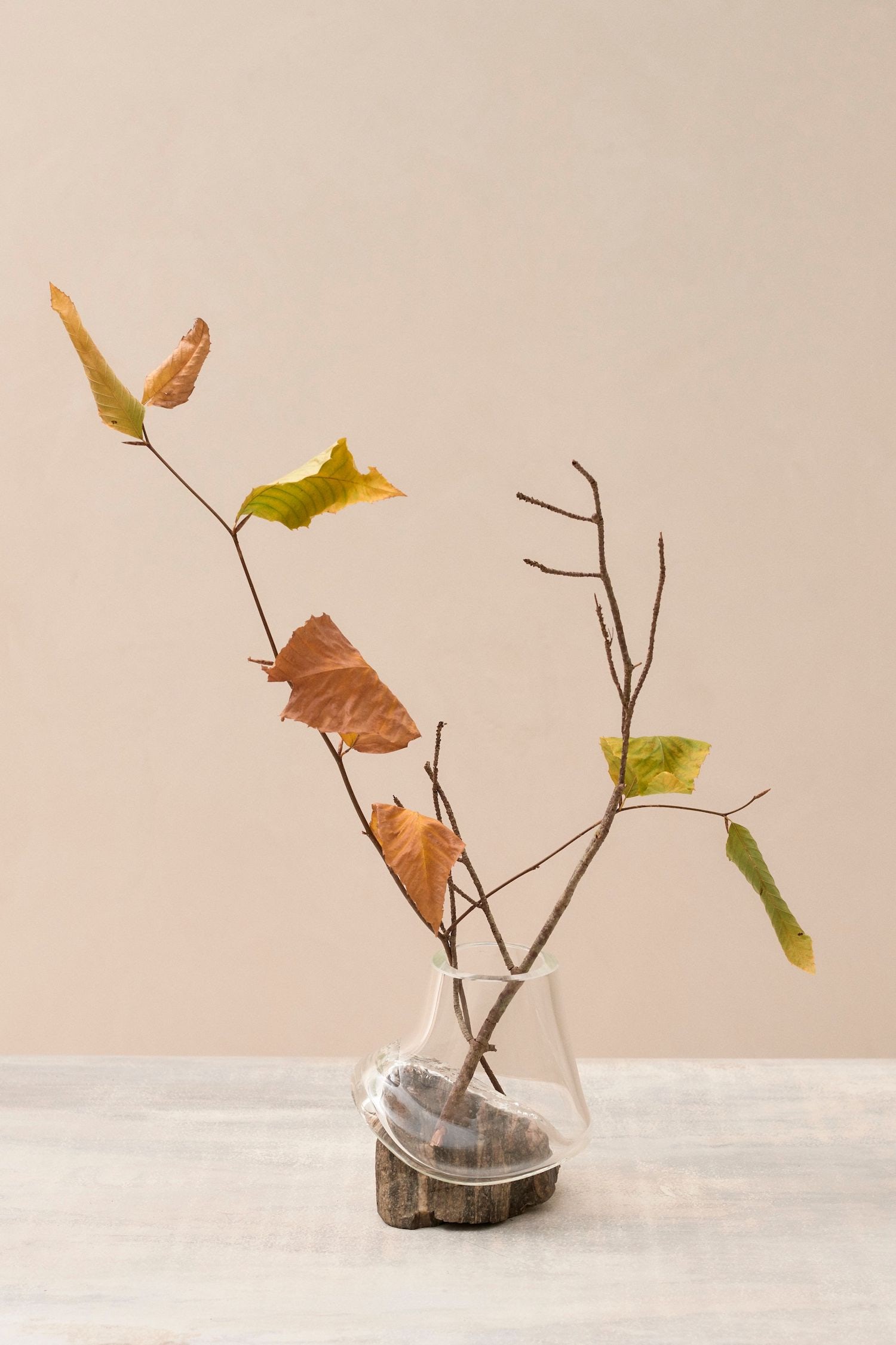 vase，Glass，autumn，Art，