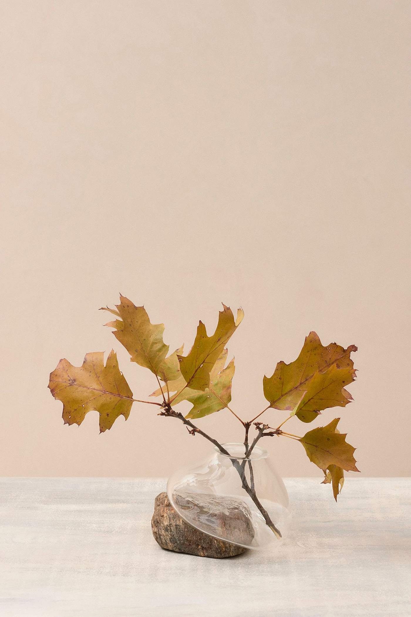 vase，Glass，autumn，Art，