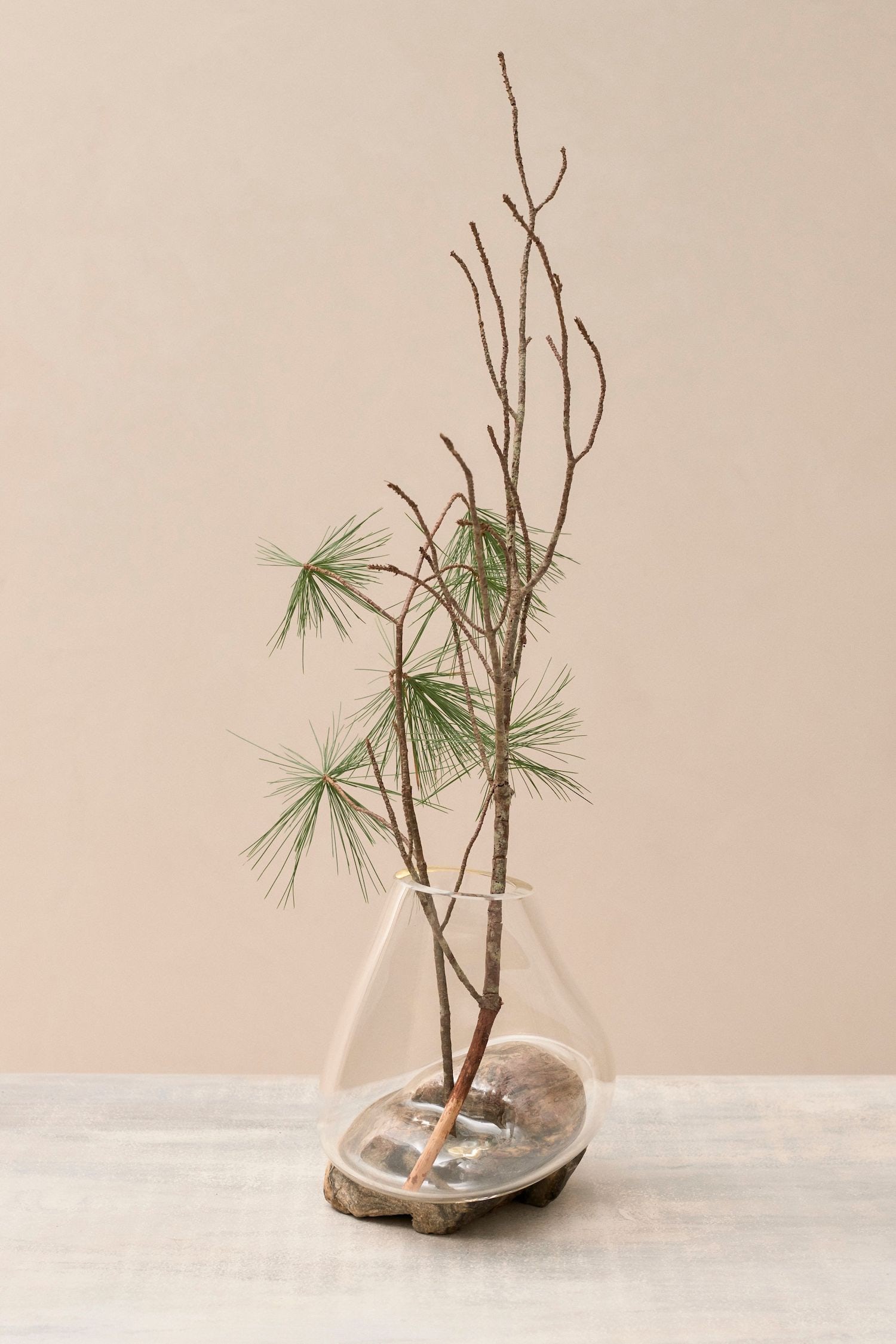 vase，Glass，autumn，Art，