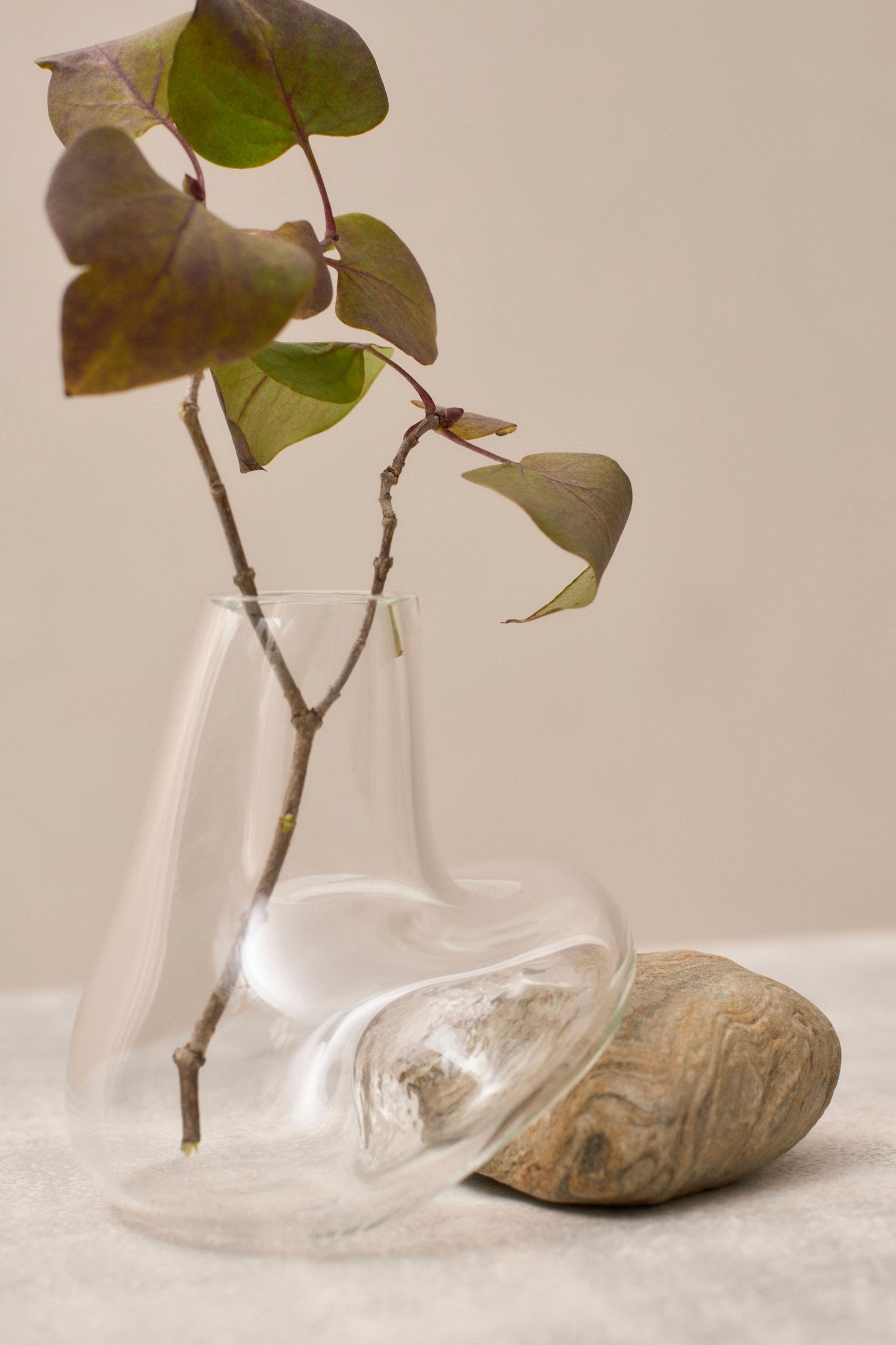 vase，Glass，autumn，Art，